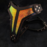 The ''D'Albertis'' harness LIMITED Harnesses