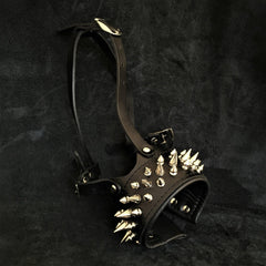 The "Danger" muzzle Muzzles