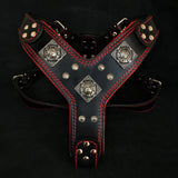 The "Eros" harness black & red Harnesses