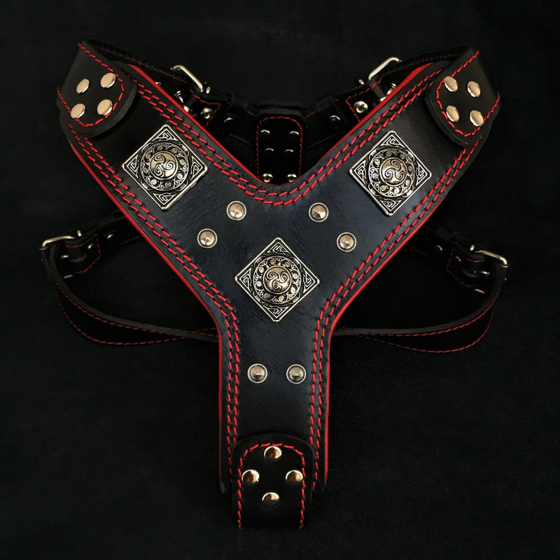 The "Eros" harness black & red Harnesses