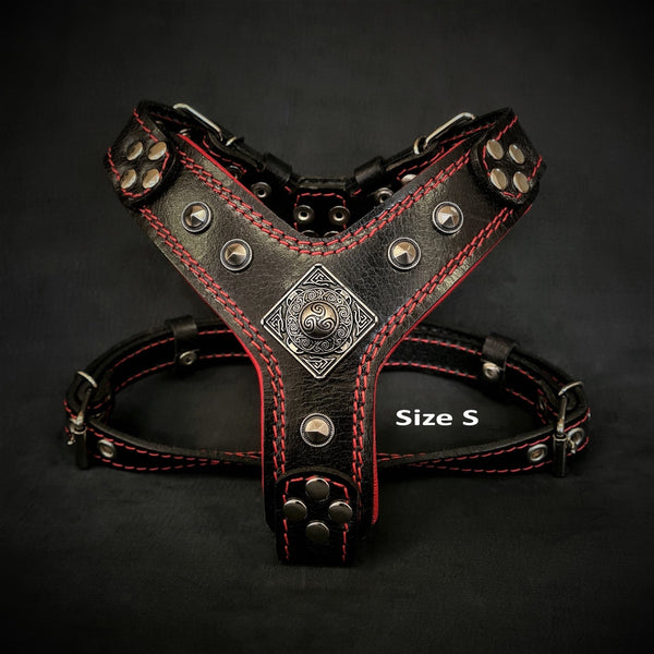 The ''Eros'' harness Black & Red Small to Medium Size Harnesses