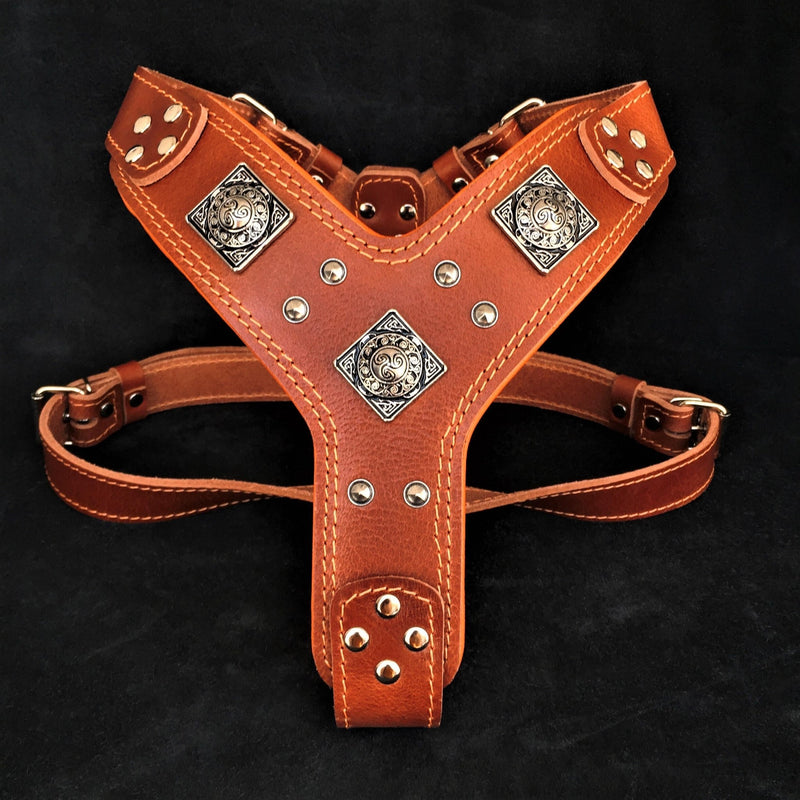The "Eros" harness brown Harnesses