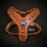 The ''Eros'' harness brown Small to Medium Size Harnesses