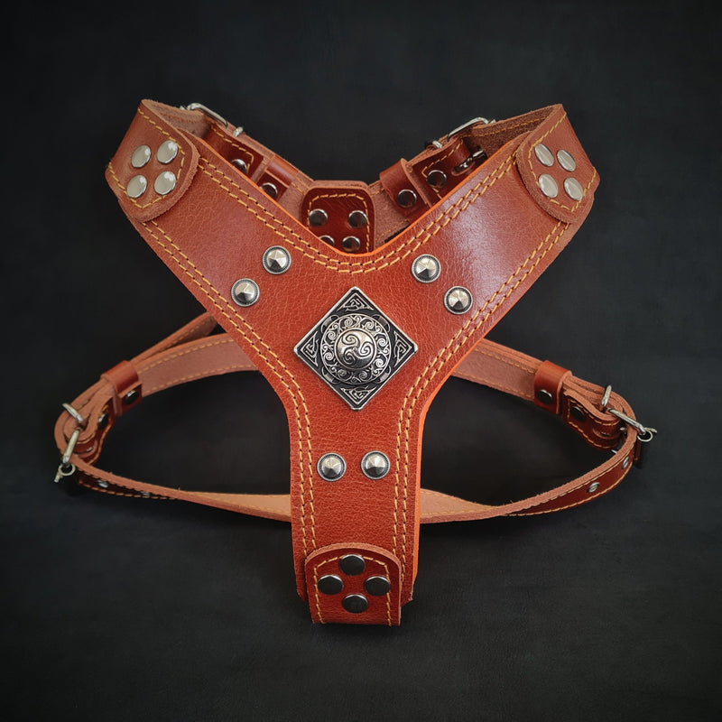 The ''Eros'' harness brown Small to Medium Size Harnesses