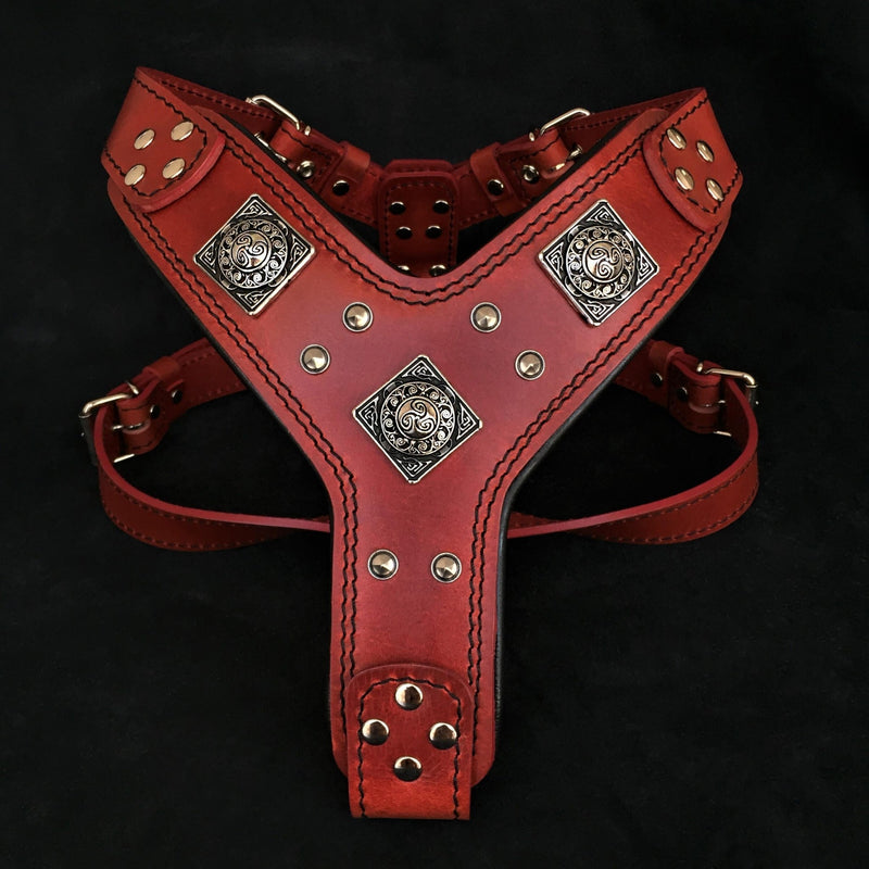 The "Eros" harness RED Harnesses