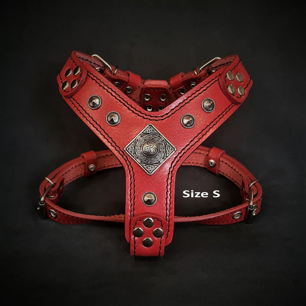 The ''Eros'' harness red Small to Medium Size Harnesses
