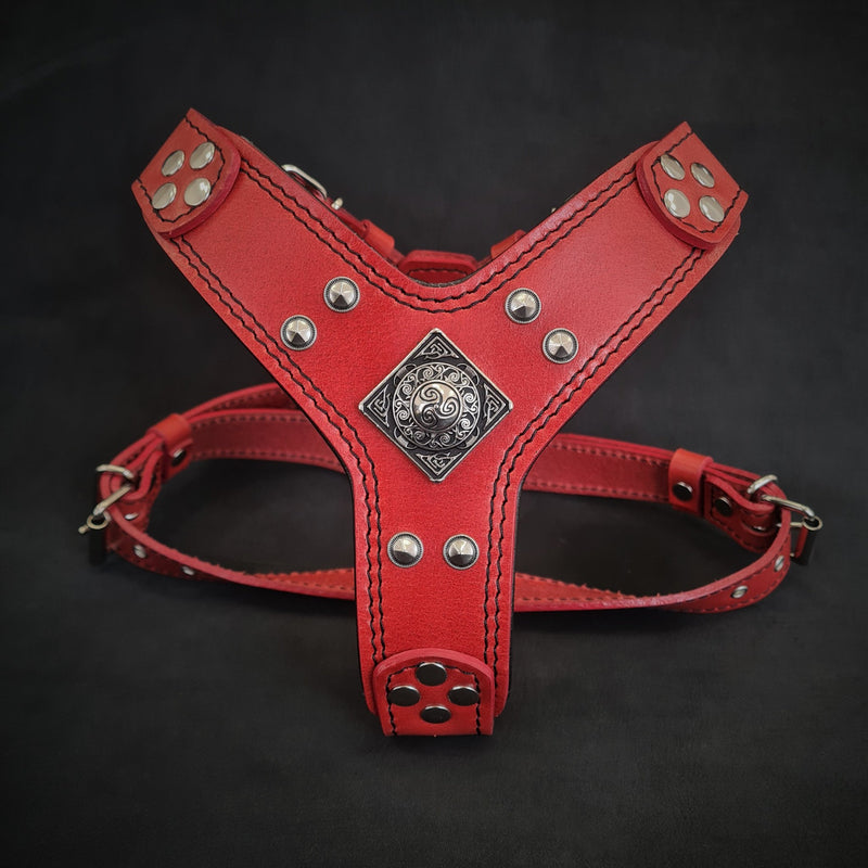 The ''Eros'' harness red Small to Medium Size Harnesses