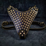 The "Gladiator" harness Gold/Silver Harnesses