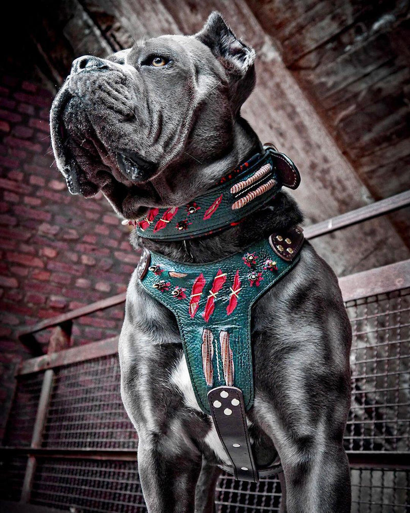 The ''Haunted'' harness LIMITED Harnesses