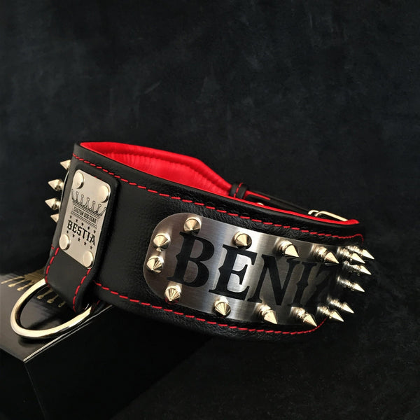 The "Kennel" collar- personalized! Collars
