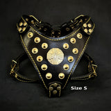 The ''Maximus'' harness Black & Gold Small to Medium Size Harnesses