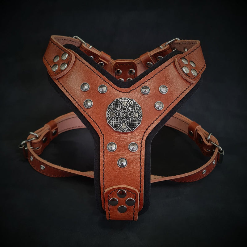 The ''Maximus'' harness brown & silver Small to Medium Size Harnesses