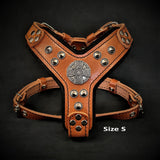 The ''Maximus'' harness brown & silver Small to Medium Size Harnesses