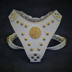 The ''Maximus'' harness White & Gold Small to Medium Size Harnesses