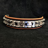 The "Metal" collar- personalized! Collars