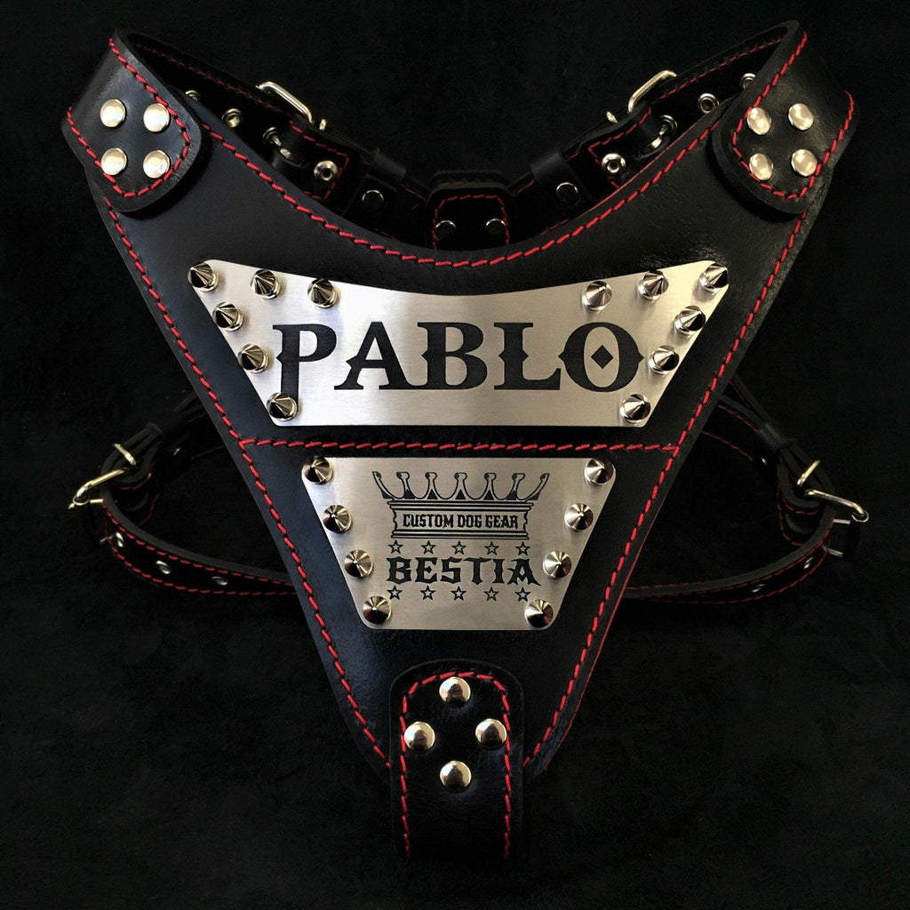 The personalized big dog leather harness by Bestia Bestia Collars