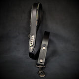 The ''Midas'' leash Silver Leads & Head Collars