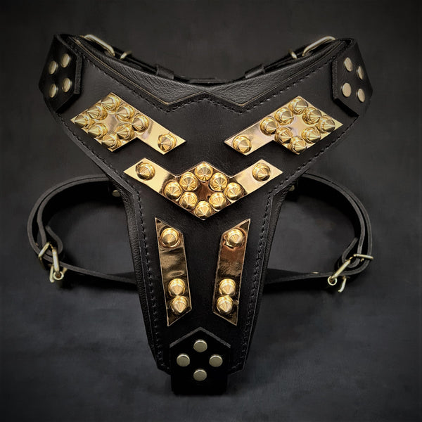 The ''Midas'' leather dog harness gold Harnesses