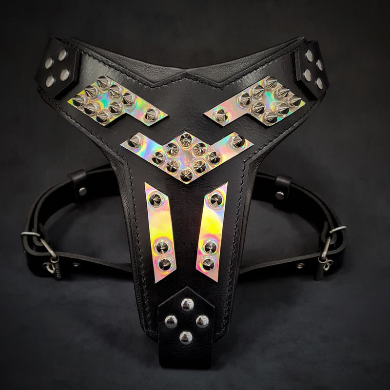 The ''Midas'' leather dog harness silver Harnesses