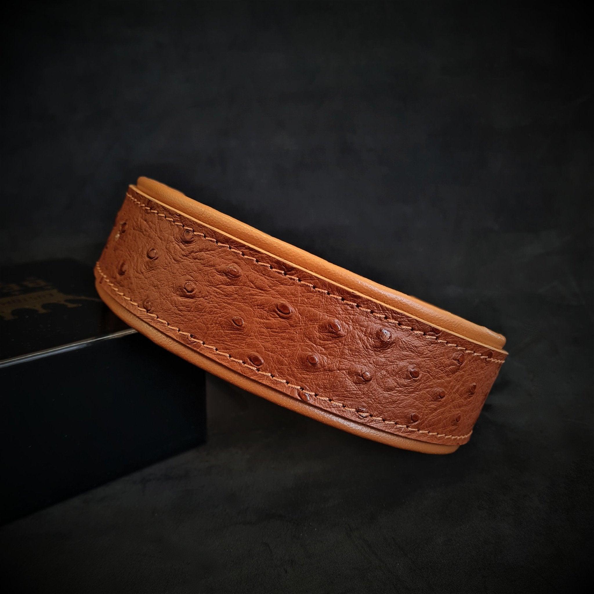 Bestia "Bijou" leather dog collar. Studded. Unique Design and Quality