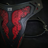 The ''Red Dragon'' harness Harnesses