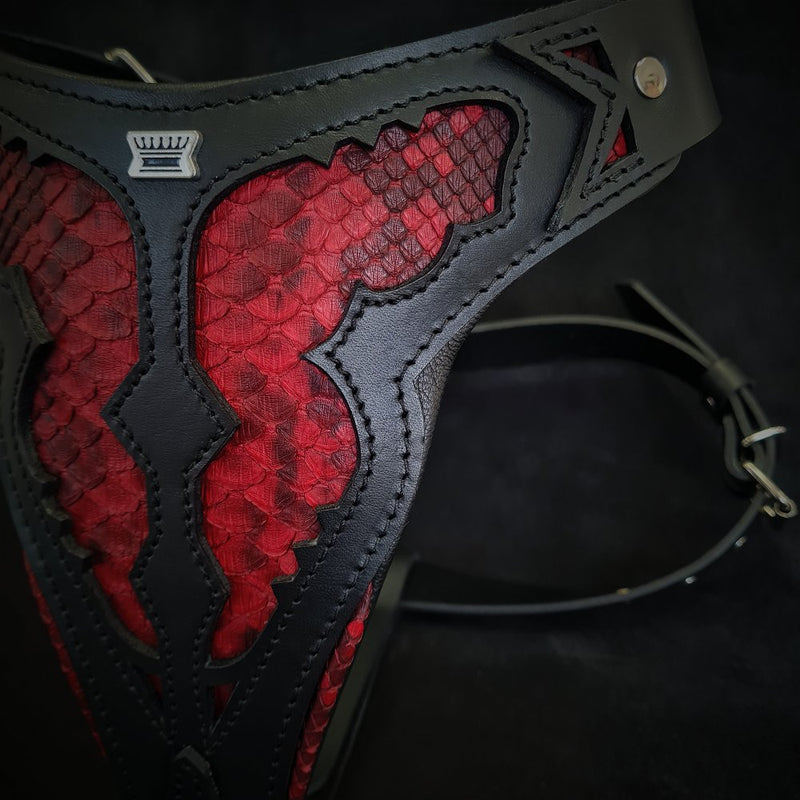 The ''Red Dragon'' harness Harnesses