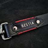 The ''Red Dragon'' leash Leads & Head Collars