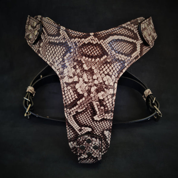 The ''Rock Python'' harness Harnesses
