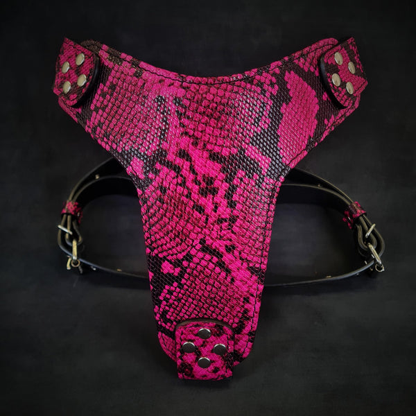 The ''Rock Python'' harness PINK Harnesses