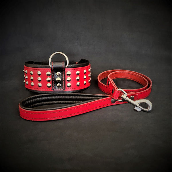 The "Star" Set- collar & leash Leads & Head Collars
