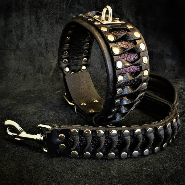The "Steampunk" leash Leads & Head Collars