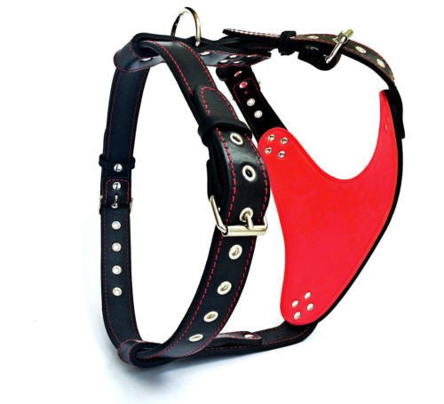 The "Steel" harness Harnesses