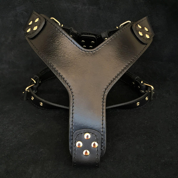 The ''Style'' harness Black Harnesses