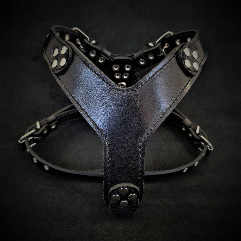 The ''Style'' harness Black Small to Medium Size Harnesses