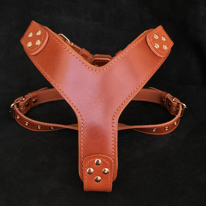 The ''Style'' harness Brown Harnesses