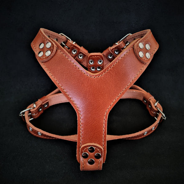 The ''Style'' harness Brown Small to Medium Size Harnesses