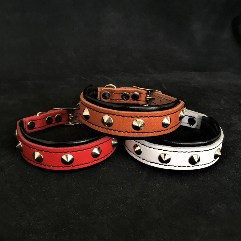 The "Superstar" puppy dog collar Collars
